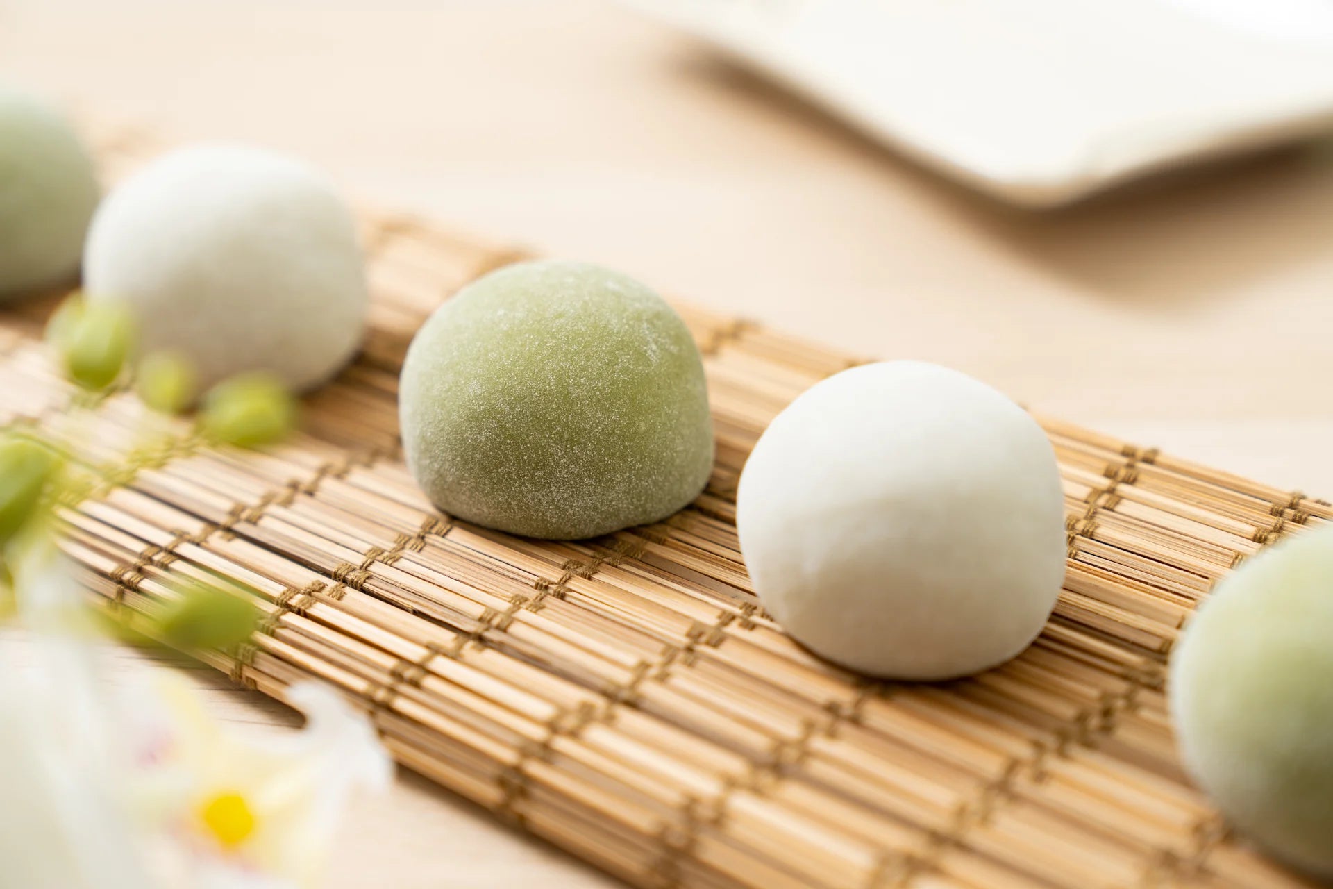 Japanese Streetfood Kochkurs